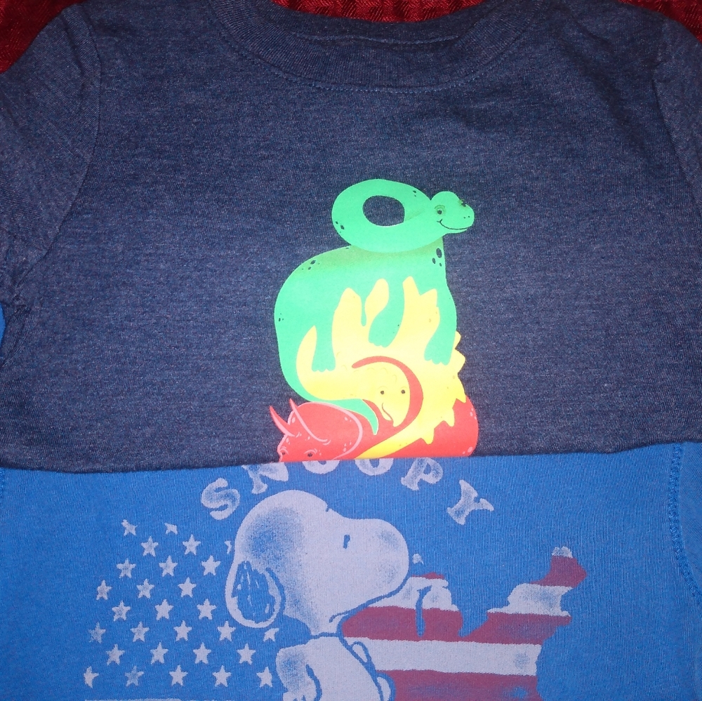 Two shirts. - Picture 5 of 9